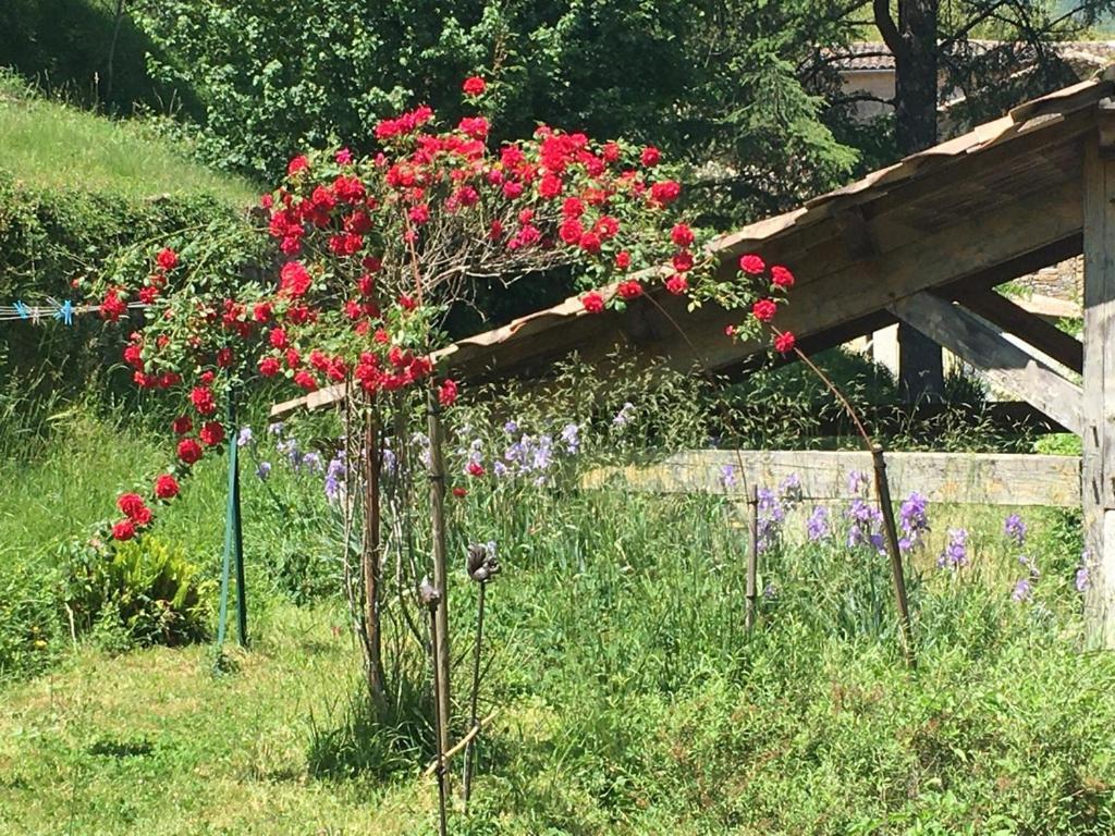 Chambres Et Gite En Cevennes Cros  Exterior foto
